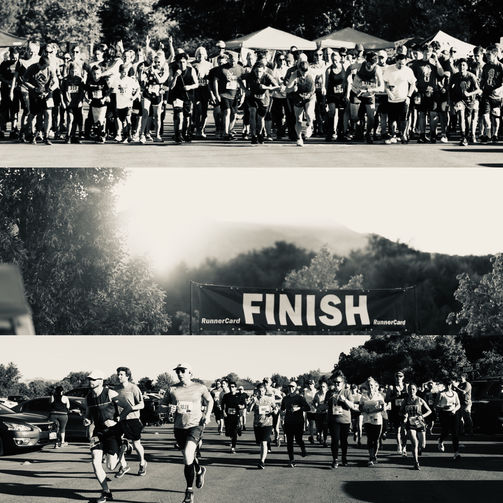 3ABA04BA-A2BE-44BF-95AD-D9CD887D748E (1)